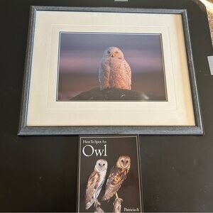 Elegant Owl Wall Art in Gray Frame Owl or bird Lover gift!